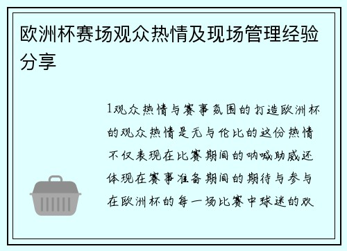 欧洲杯赛场观众热情及现场管理经验分享